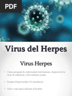 Clase Herpesvirus