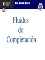 02 Fluidos de Completacion