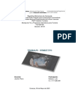 Trabajo Sumativo #2 PDF