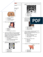 Fmge June 2021: Questions