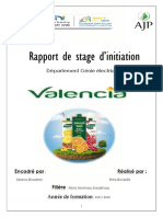 Rapport de Stage AJP