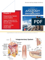 Integumentary System Lecture Outline: Seeley'S Essentials of