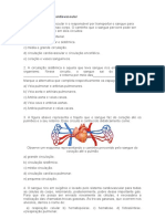 Questões Sistema Cardiovascular