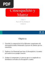 Clase 5. Citoesqueleto