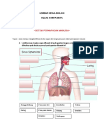LKPD Sistem Respirasi