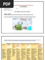 Proyecto Interdisciplinar Terceros Domenica Mora 3roe