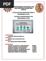 Informe Consolidacion Unidimensional