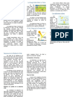 Distribucion de La Energia Solar en Nuestro Planeta Tierra