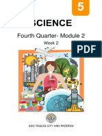 Fourth Quarter-Module 2: Week 2