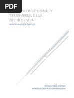 Análisis Longitudinal y Transversal de La Delincuencia