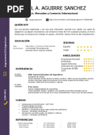 Curriculum Vitae Angel A. Aguirre