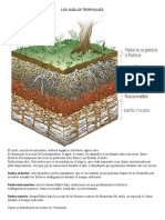 Los Suelos Tropicales