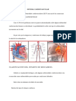 Sistema Cardiovascular