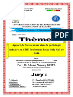 Mémoire Sur URO-TDM