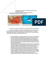 Trabalho de Biologia Animais Osmoconformantes e Osmorregulantes Final