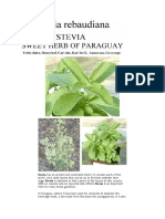 Stevia Has An Ancient and Venerable History in Certain Parts of The