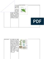 Fisiología de Plantas.