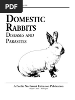 Domestic Rabbits Diseases and Parasites