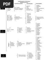 Esquema Del Yo Integral