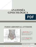 Anatomía Materna