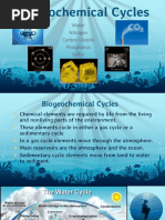 Biogeochemical Cycles