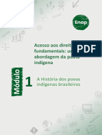 Módulo 1 - A História Dos Povos Indígenas Brasileiros