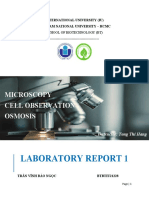 Laboratory Report 1: Microscopy Cell Observation Osmosis