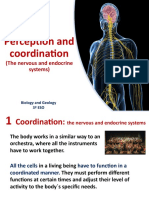 Unit 4 Perception and Coordination 1