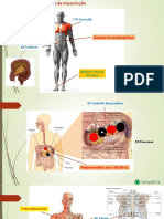 Apresentação Biomagnetismo 2