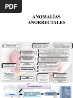 Anomalias Anorrectales