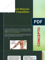 Sistema Musculoesqueletico