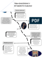 Sistema Endócrino y Comportamiento Humano