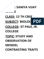 Biology Investegatory Project 4