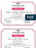 Certificado Puente Grúa.