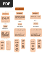 Mapa Conceptual