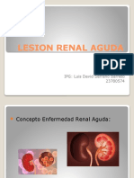 Enfermedad Renal Aguda