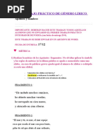 TRABAJO PRÁCTICO INTEGRADOR DE GÉNERO LÍRICO (Para Quienes Aún Tienen El Trabajo Pendiente)