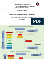 CONSANGUINIDAD