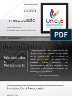 Introduccion Al Presupuesto