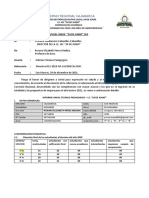 Informe Técnico Pedagogico 2021 - Roxana Pérez Medina