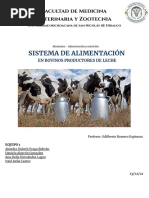 Sistema de Alimentación Ensayo