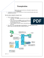 What Is Transpiration?