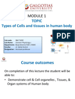 Types of Cells and Tissues