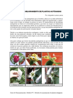 Curso Fitomejoramiento Cap. 5 Mejoramiento de Plantas Autoga