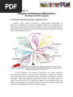 Linhagens de Organismos Metazoários 1 Autor João Miguel de Matos Nogueira