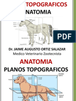 Planos Topograficos