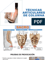 Técnicas Articulares de Terapia Manual de Columna