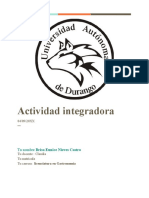 Actividad Integradora