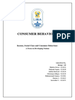 COB - Income, Social Class and Consumer Behaviour - Group13