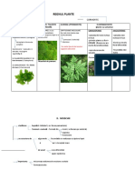 Regnul Plante (Alge Pluricelulare, Muschi, Ferigi)